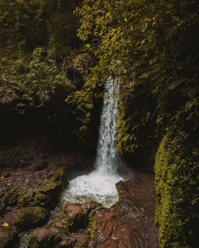 Bali: Fireflies Night, Temple, Waterfall & Rice Terrace - Who This Tour Is Perfect For