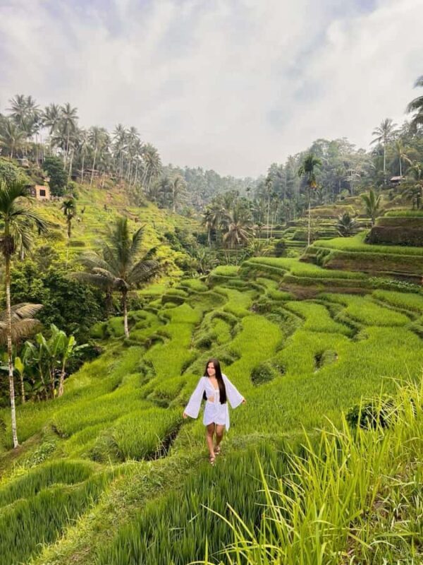 Bali: Fireflies Night, Temple, Waterfall & Rice Terrace - FAQ
