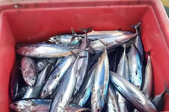 Bali: Fishing Charter Private Boat - Starting Point: Hassle-Free Hotel Pickup