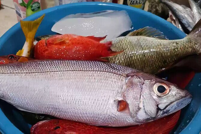 Bali: Fishing Charter Private Boat - Return Journey and Review of Service