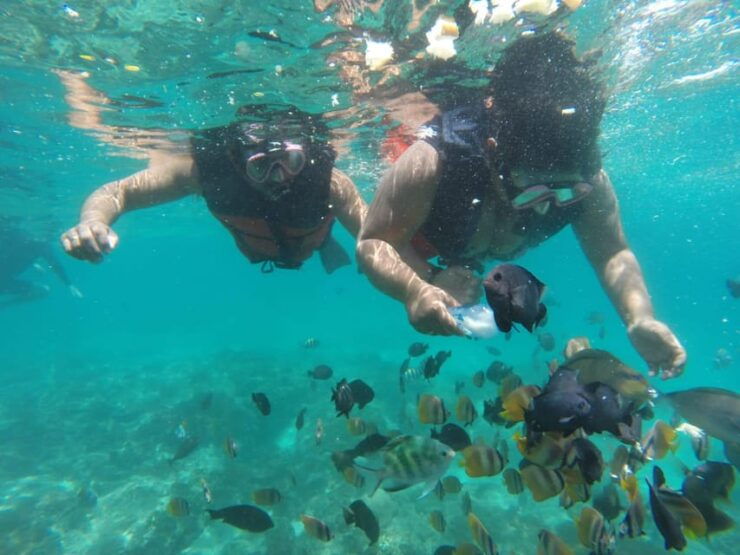 Bali : Fishing Trip & Blue Lagoon Snorkeling : All Inclusive - Detailed Itinerary