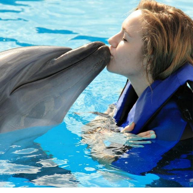 Bali : Full Day Bali Dolphin Tour - Cancellation Policy Details