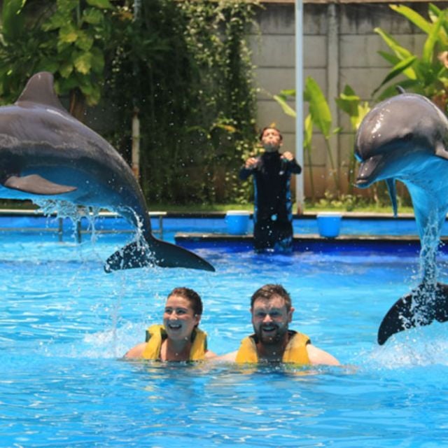 Bali : Full Day Bali Dolphin Tour - Tour Highlights Overview