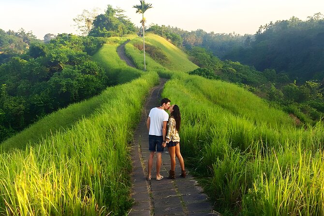 Bali Full-Day Car Charter: All About Ubud Village Trip Experience - Ubud Village: Cultural Heart of Bali