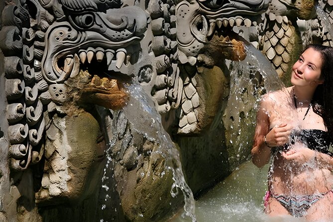 Bali Full-Day Car Charter: Beauty of North Bali Tour - Exclusions