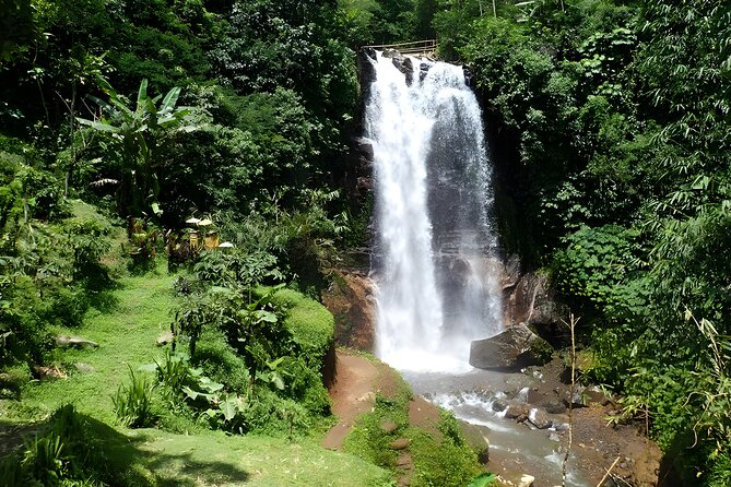 Bali Full-Day Car Charter: Beauty of North Bali Tour - Pickup Details