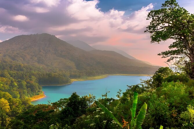 Bali Full-Day Car Charter: Beauty of North Bali Tour - Pricing Details