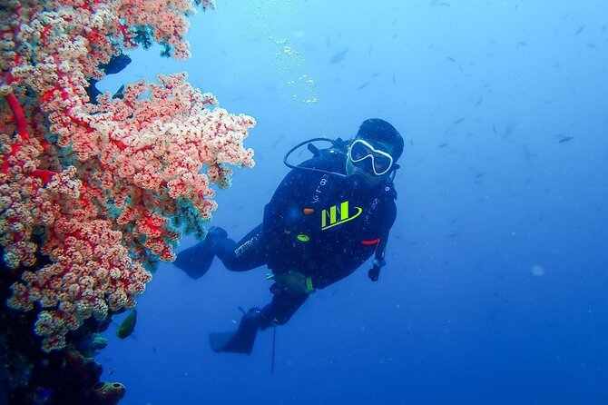 Bali Full Day Experience Scuba Diving Tour at Tulamben - Booking Details