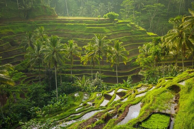 Bali: Full-Day Instagram Highlights Tour - Tour Highlights