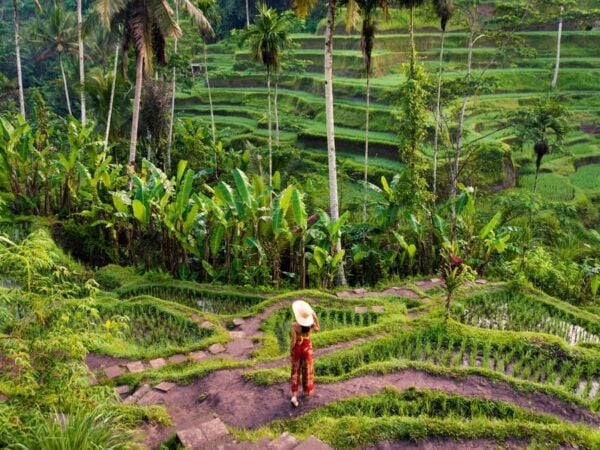 Bali: Full-Day Island Exploration Tour - Recommendations for Travelers
