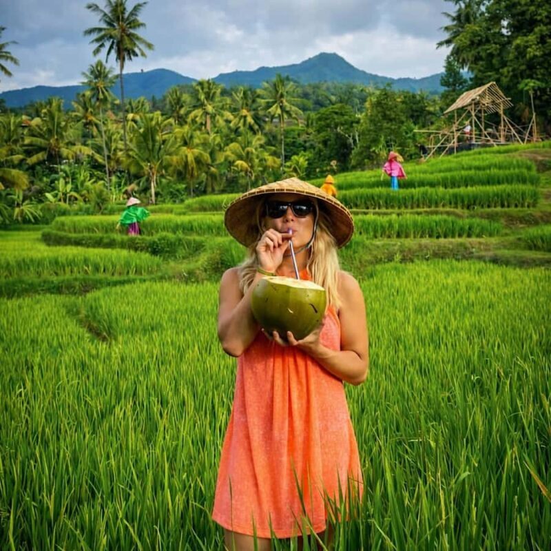 Bali: Full Day North Bali Private Customized Tour - Advantages of the Private, Customized Approach