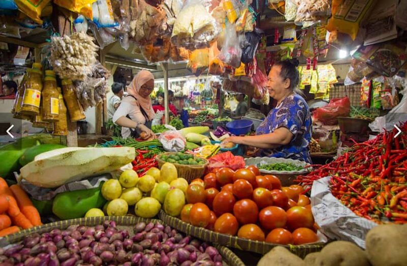 Bali: Full Day North Bali Private Customized Tour - Who Is This Tour Best For?