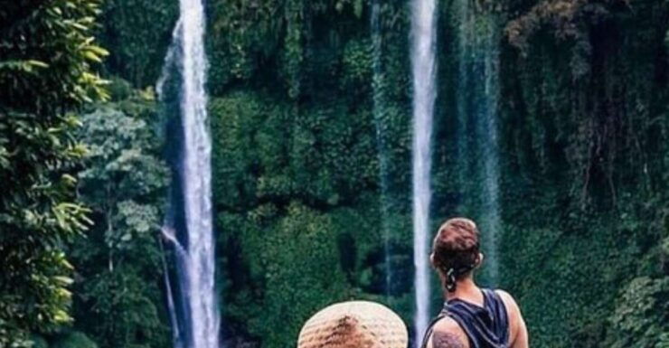 Bali : Full Day North Bali Tour - Tour Overview