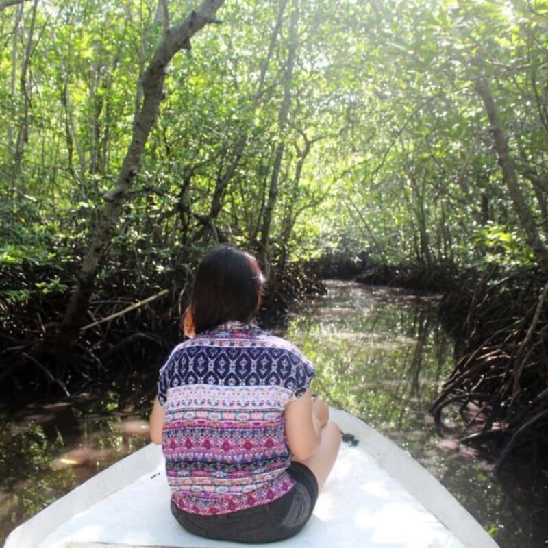 Bali : Full Day Nusa Lembongan - Snorkeling Tour - The Pros and Cons of This Tour