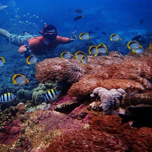 Bali : Full Day Nusa Lembongan - Snorkeling Tour - Starting Times