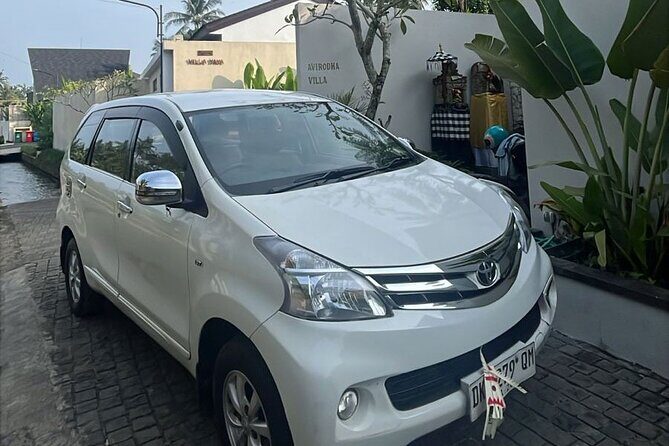 Bali Full Day Private Car Charter with Professional Driver - Why Choose a Private Car Tour in Bali?