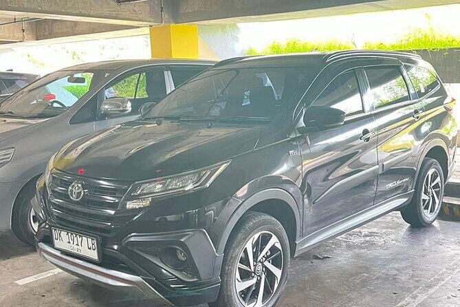 Bali Full Day Private Car Charter with Professional Driver - Final Thoughts