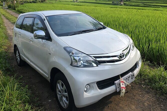 Bali Full Day Private Car Charter with Professional Driver - FAQ