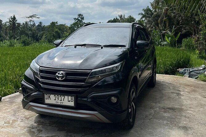 Bali Full Day Private Car Charter with Professional Driver - Who Is This Tour Best For?