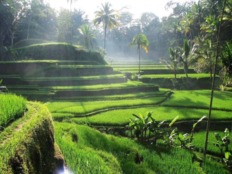 Bali Full-Day Private Customized Tour - Why This Tour Offers Good Value