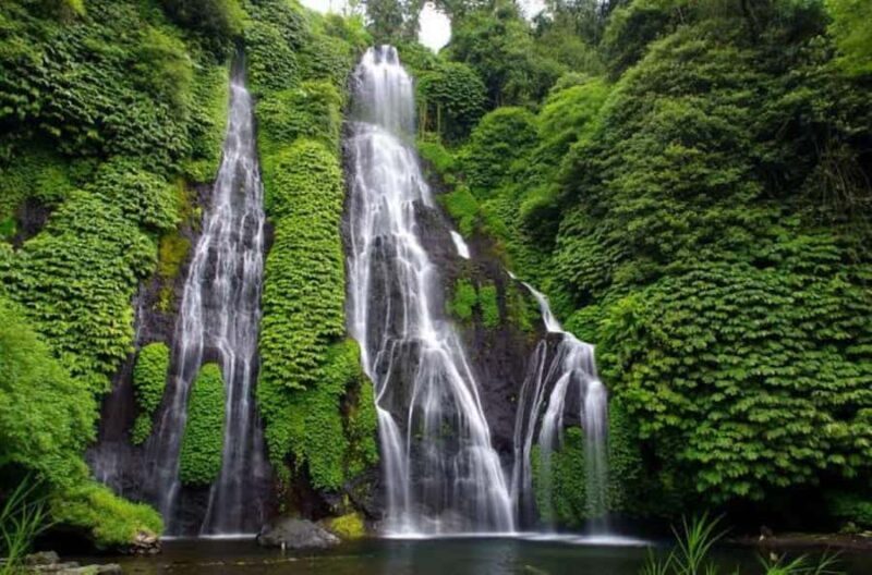 Bali Full-Day Private Customized Tour - Who Will Love This Tour?