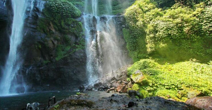 Bali Full-Day Private Customized Tour - Booking Details