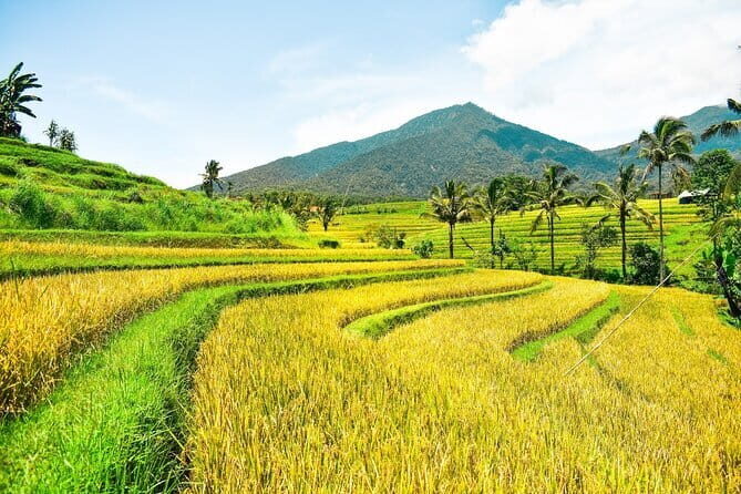 Bali Full Day Private Tour with Driver - Exploring Bali’s Key Stops in Detail