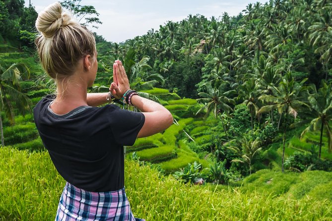 Bali Full Day Tour: Highlights of Ubud and Hidden Waterfall - Tour Itinerary