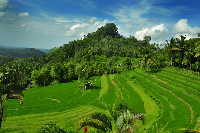 Bali Full Day-Tour: Kintamani Volcano and Besakih Temple Tour - Itinerary Details