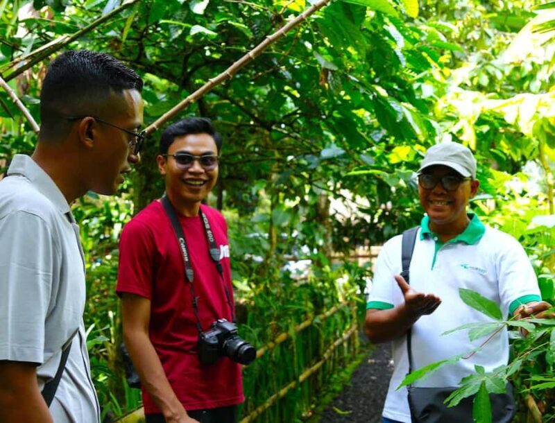 Bali: Full-Day Tour of Bali's Highlights - In-Depth Breakdown of the Tour Experience