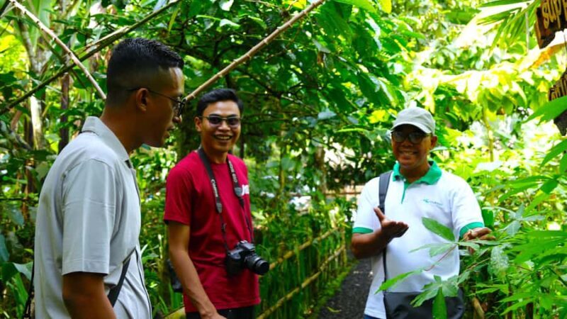 Bali: Full-Day Tour of Bali's Highlights - The Sum Up