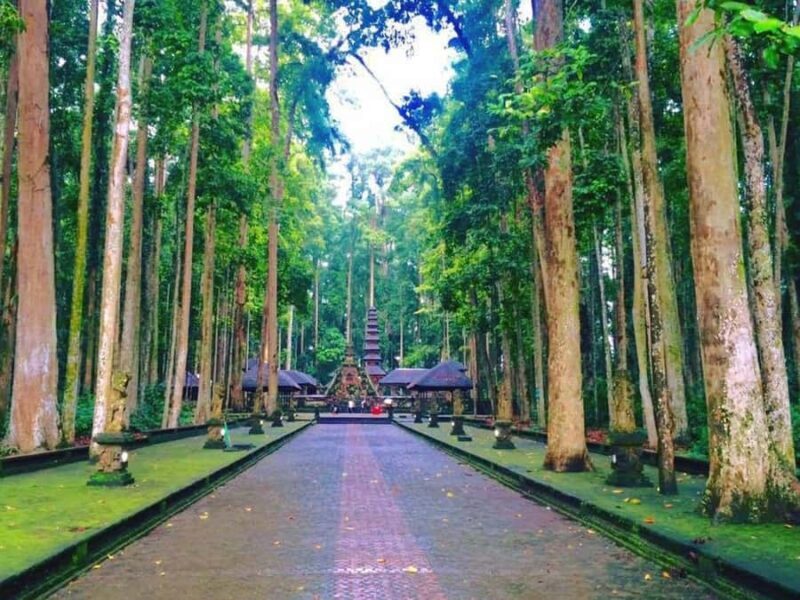 Bali: Full-Day Tour of Nungnung Waterfall, Tanah Lot Tample - Practical Tips for Making the Most of Your Day