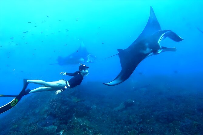 Bali Full-Day Tour to Exploring Nusa Penida Island With Snorkeling From Bali - Snorkeling Experience