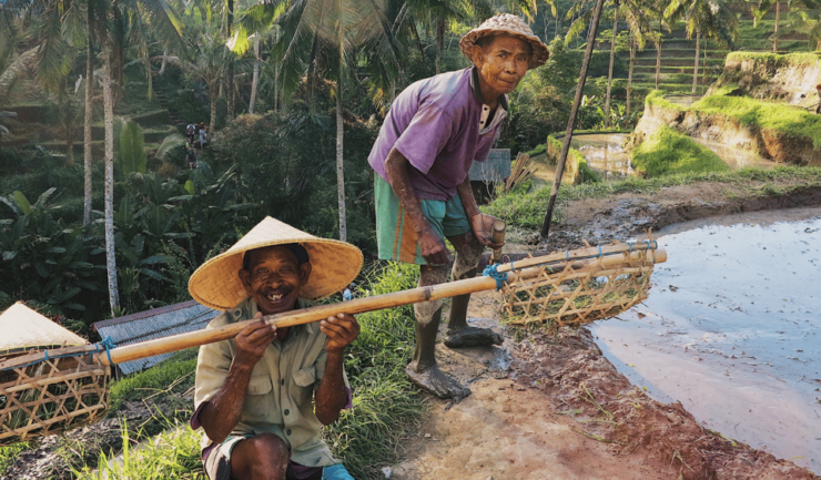 Bali : Full Day Tour With Private Car in Ubud - Itinerary Highlights
