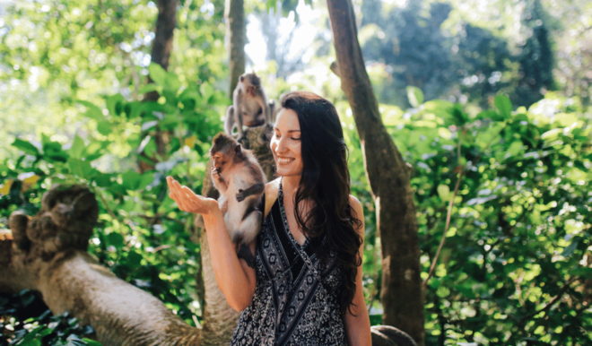 Bali : Full Day Tour With Private Car in Ubud - Sacred Monkey Forest Sanctuary