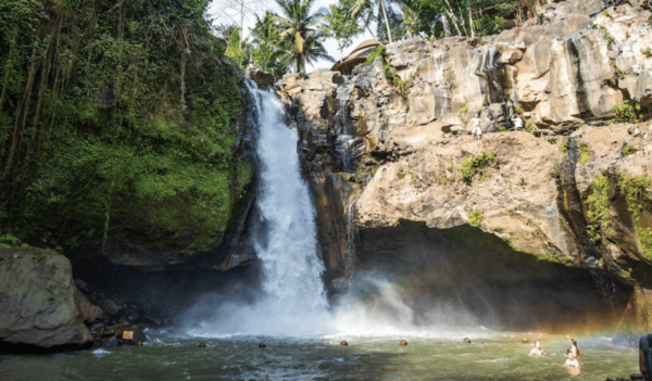Bali : Full Day Tour With Private Car in Ubud - Tegalalang Rice Terrace