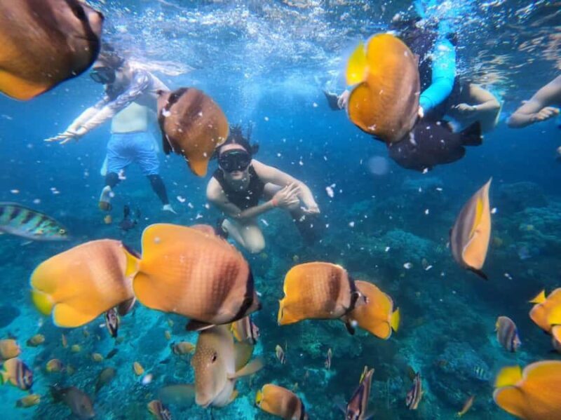 Bali Full Day Trip Fishing, Snorkeling,Eat in Candidasa - An In-Depth Look at the Bali Full Day Trip