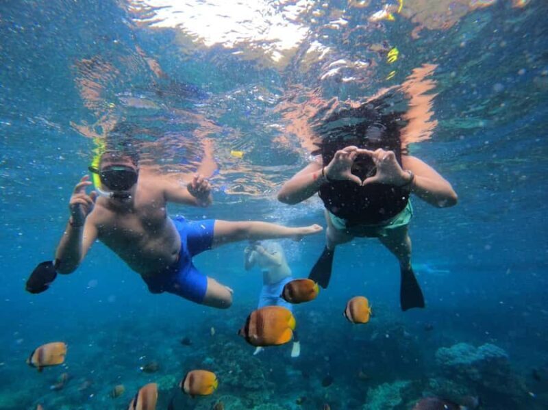 Bali Full Day Trip Fishing, Snorkeling,Eat in Candidasa - Who Will Love This Tour?