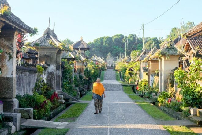 Bali: Full-Day Trip to Penglipuran Village and Bamboo Forest - Review Summary