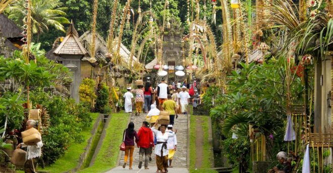 Bali: Full-Day Trip to Penglipuran Village and Bamboo Forest - Additional Reviews
