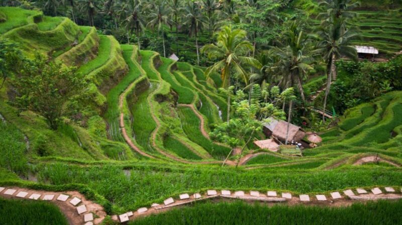 Bali: Full-Day Ubud Highlight & Tanah Lot Temple Sunset Tour - FAQ