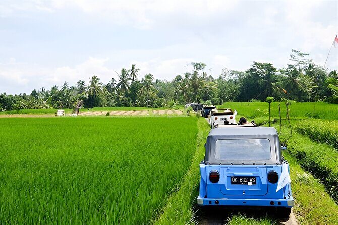 Bali Full-Day UNESCO Rice Terrace Tour by VW Safari Classic Car - Final Thoughts