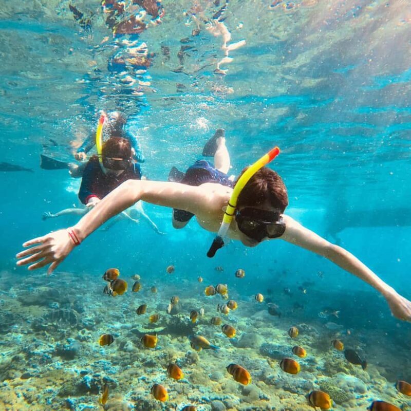 Bali: Full-Day Yacht Snorkel Manta Nusa Penida & Lembongan - FAQ