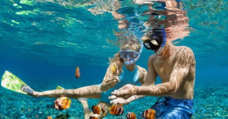 Bali : Full Packages Dive & Water Sports Activities - Dive Packages Available in Bali