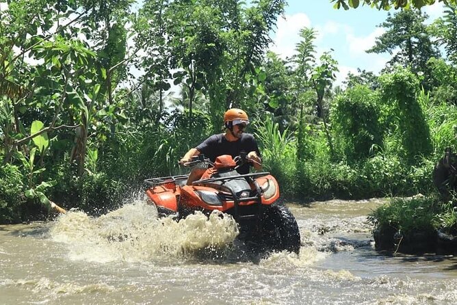Bali Fun Ride Quad Bike ATV and Waterfall Tour - Pricing and Booking Details