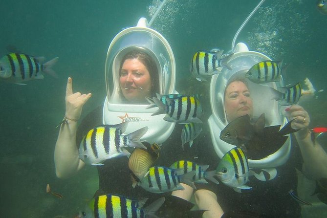Bali Fun Scuba Dive for Beginners at Tanjung Benoa Beach - Scuba Diving Experience Details