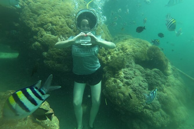 Bali Fun Scuba Dive for Beginners at Tanjung Benoa Beach - Reviews and Ratings