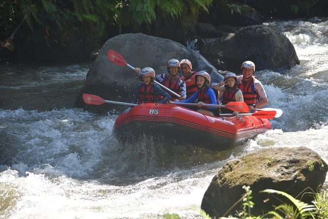 Bali Fun White Water Rafting - Best Time to Experience Rafting