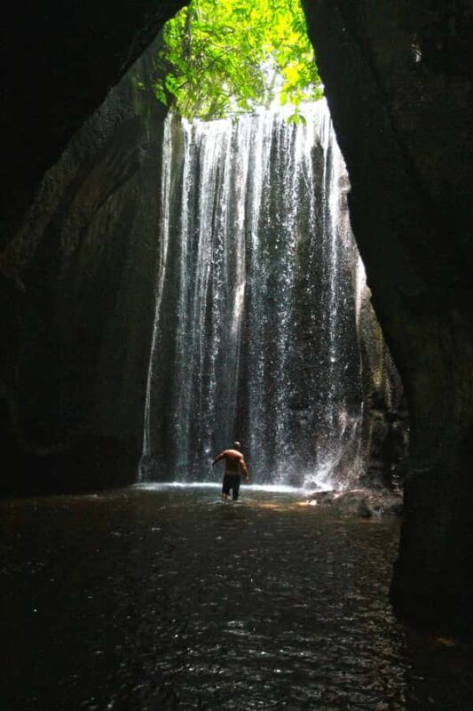 Bali: Gate of Heaven, Waterfall and Ubud All-Inclusive Tour - Who Is This Tour Best For?