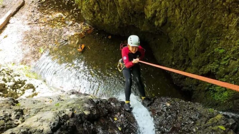 Bali: Gitgit Waterfall Canyoning Expedition with Lunch - Final Thoughts